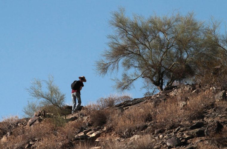 Hike